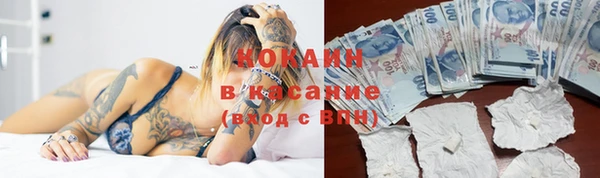 стаф Абинск