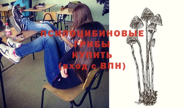 прущий лед Алексеевка