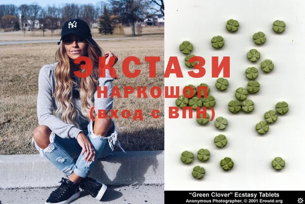 индика Рославль