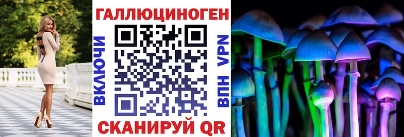 Псилоцибиновые грибы Cubensis  блэк спрут как зайти  Болотное 